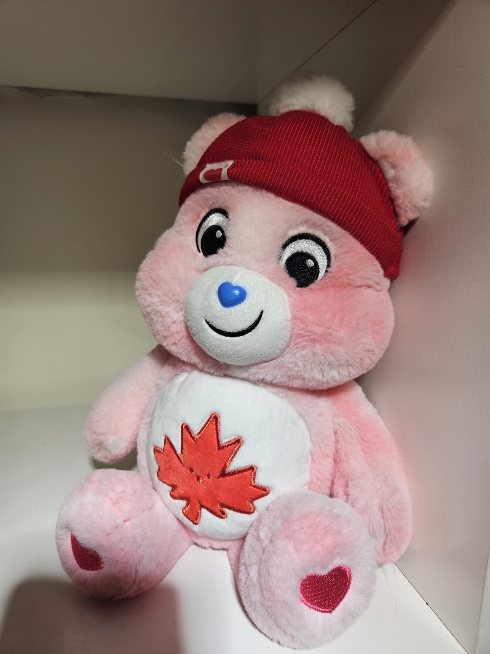 Care Bear True North
